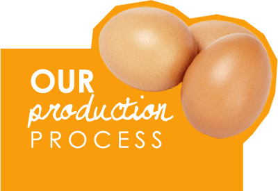 Our Production Process