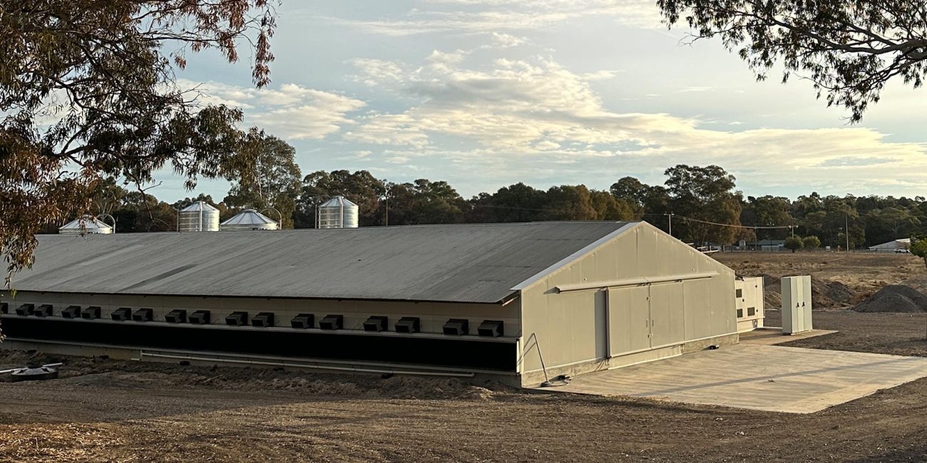 2023 Rearing Shed