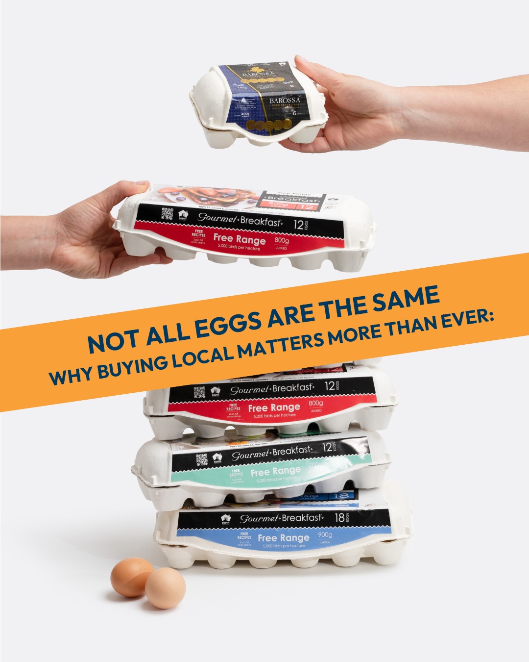 Buy Local Eggs