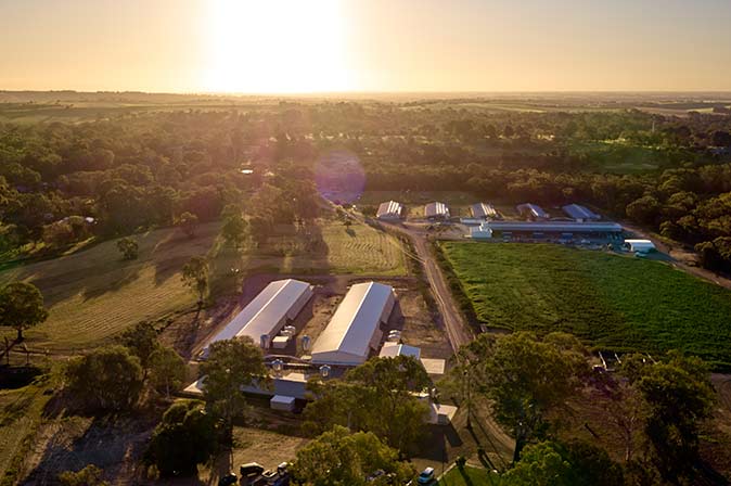 Barossa Farm