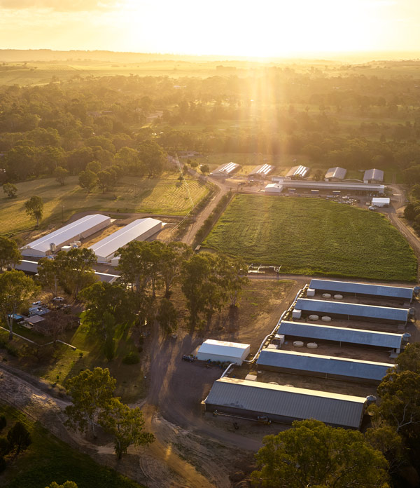 Barossa Farm