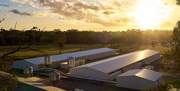 New Sheds Sandy Creek